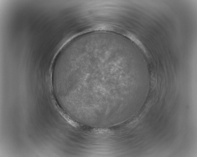 X0000068720886200605051430