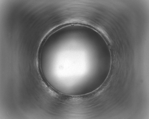 X0000068720888200605051430