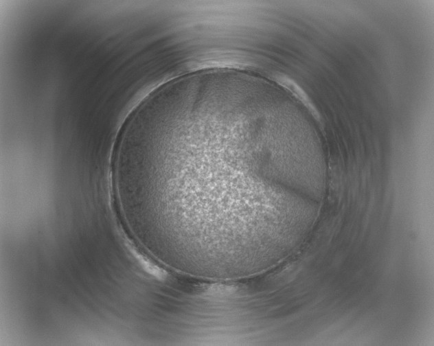 X0000068720890200605051430