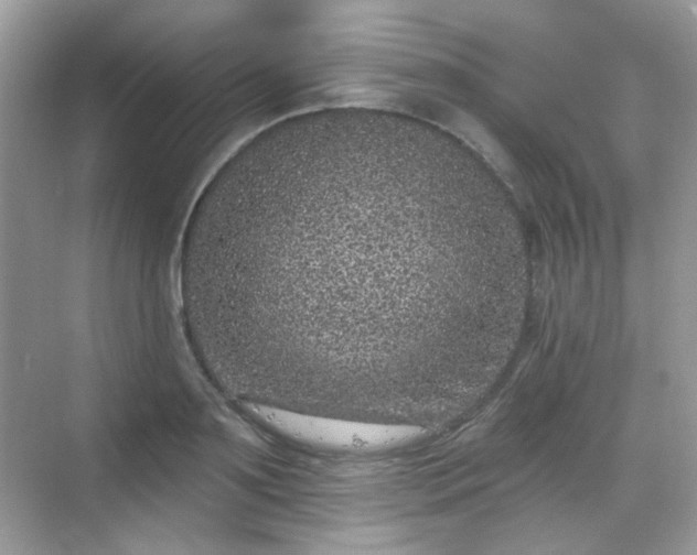 X0000068720891200605051430