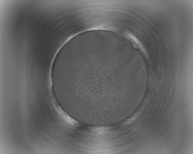 X0000068720892200605051430