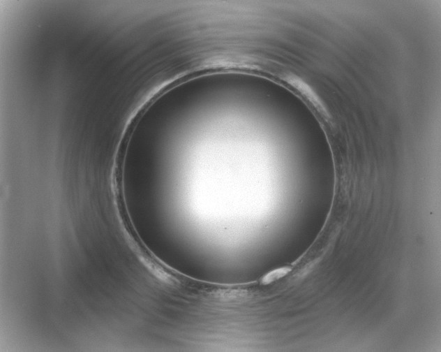 X0000068720893200605051430