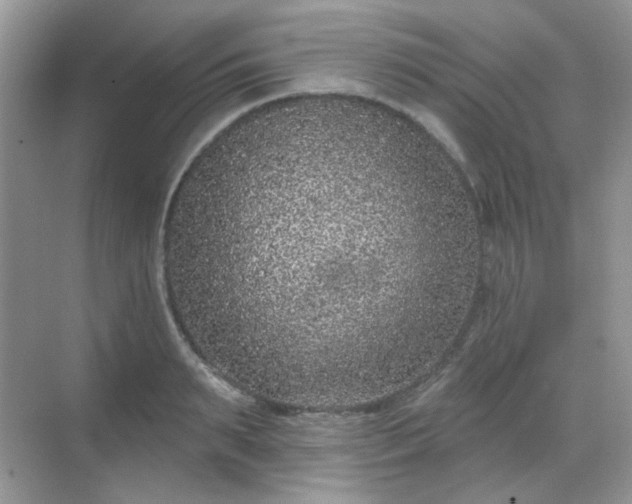 X0000068720895200605051430