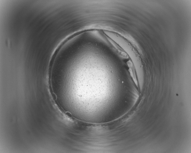 X0000068720896200605051430