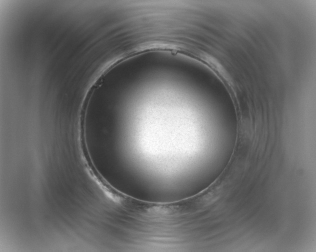 X0000068720898200605051430