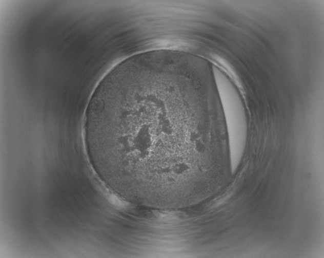 X0000068720899200605051430