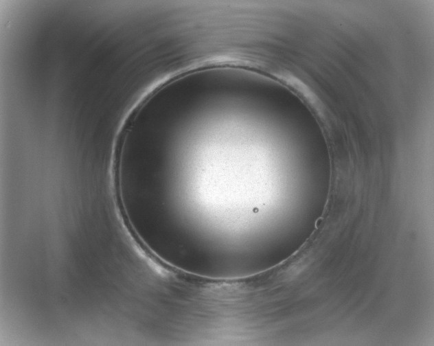 X0000068720902200605051430