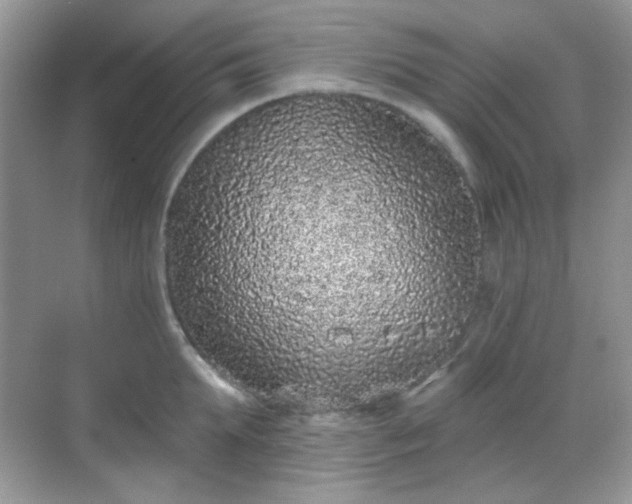 X0000068720903200605051430