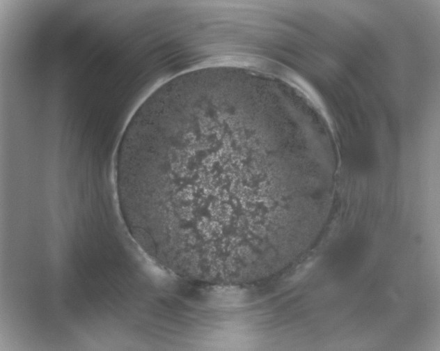 X0000068720907200605051430