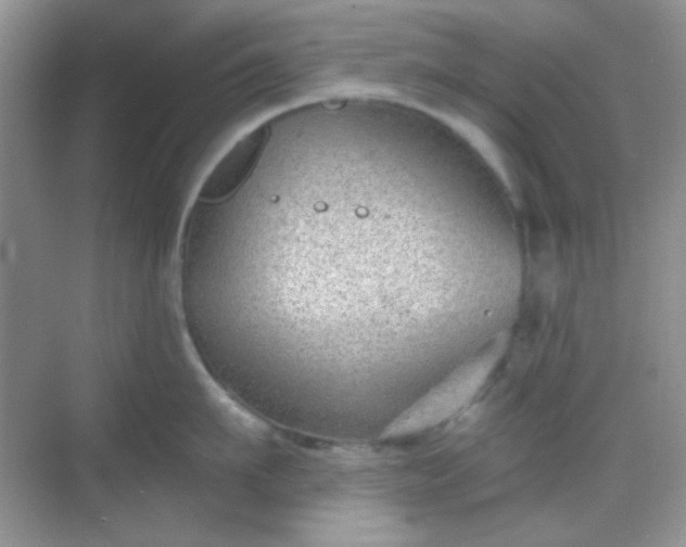 X0000068720911200605051430