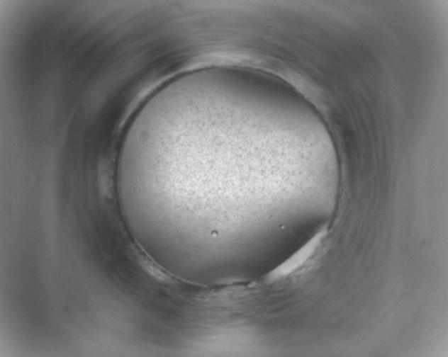 X0000068720912200605051430