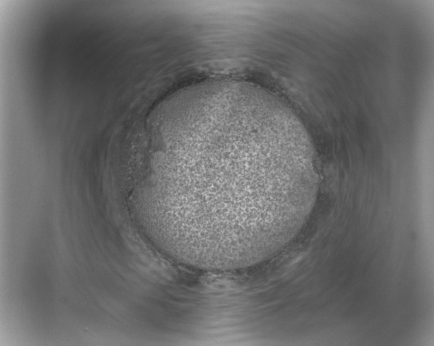 X0000068720913200605051429