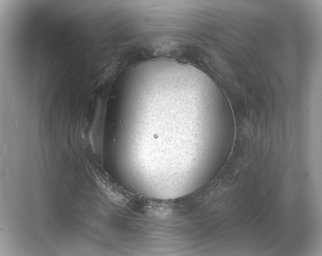 X0000068720914200605051429