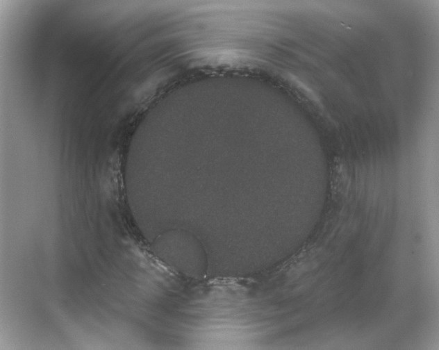 X0000068720918200605051429