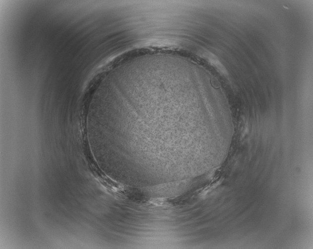 X0000068720920200605051429