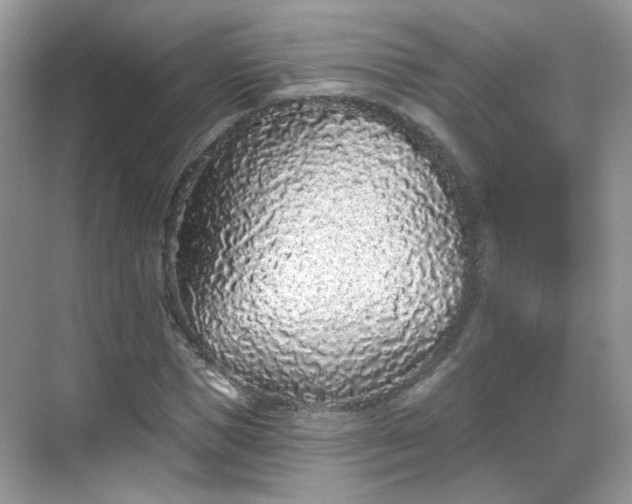 X0000068720921200605051429