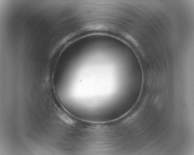 X0000068720922200605051429