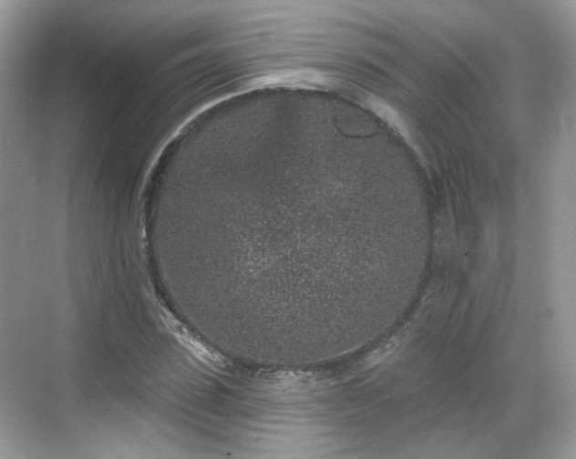 X0000068720923200605051429