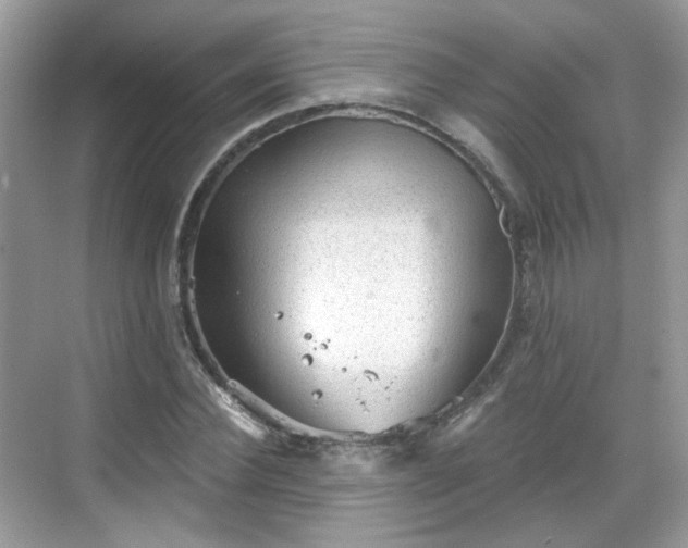 X0000068720924200605051429