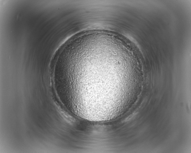 X0000068720925200605051429