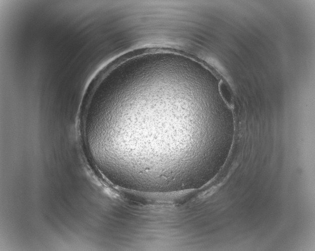 X0000068720928200605051429