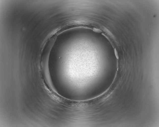 X0000068720930200605051429