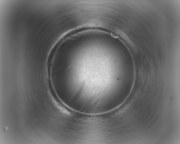 X0000068720934200605051429