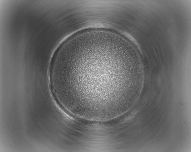 X0000068720935200605051429