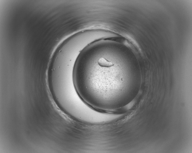 X0000068720936200605051429