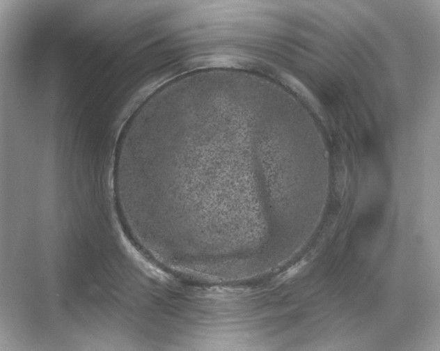 X0000068720938200605051429