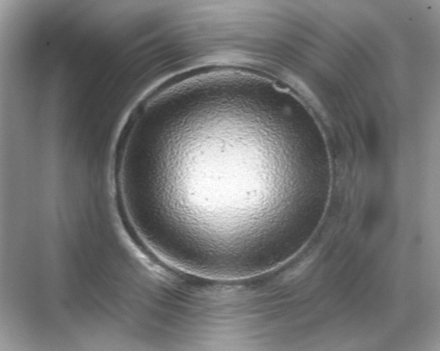 X0000068720939200605051429