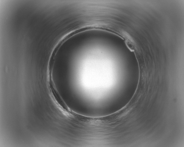 X0000068720940200605051429