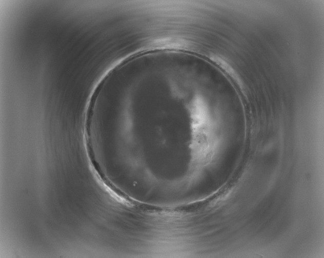 X0000068720941200605051429