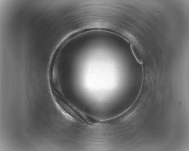 X0000068720942200605051429