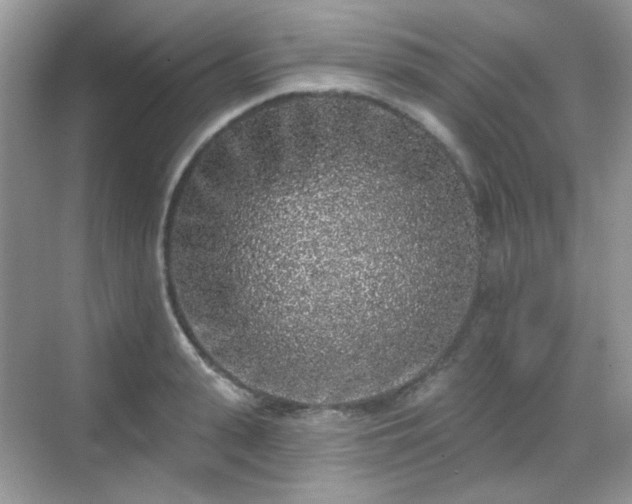 X0000068720943200605051429