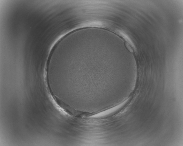 X0000068720944200605051429