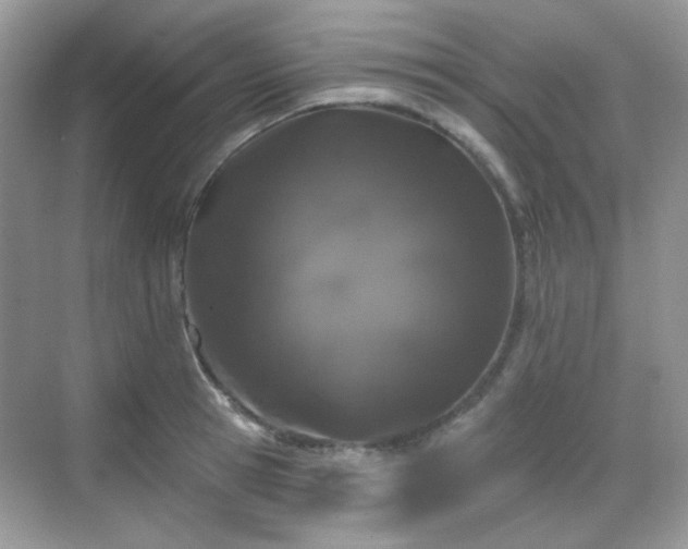 X0000068720945200605051429