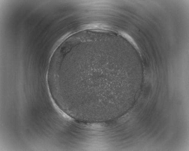 X0000068720946200605051429