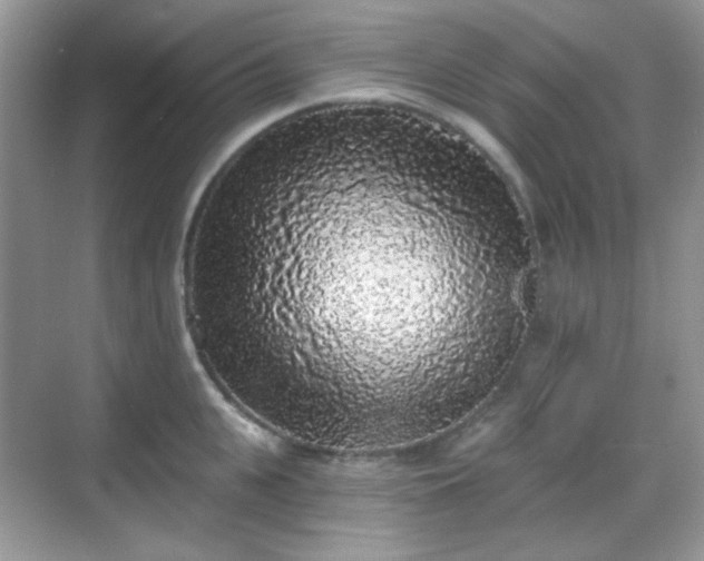 X0000068720951200605051429