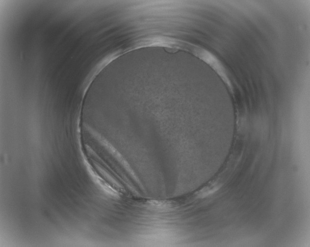 X0000068720954200605051430