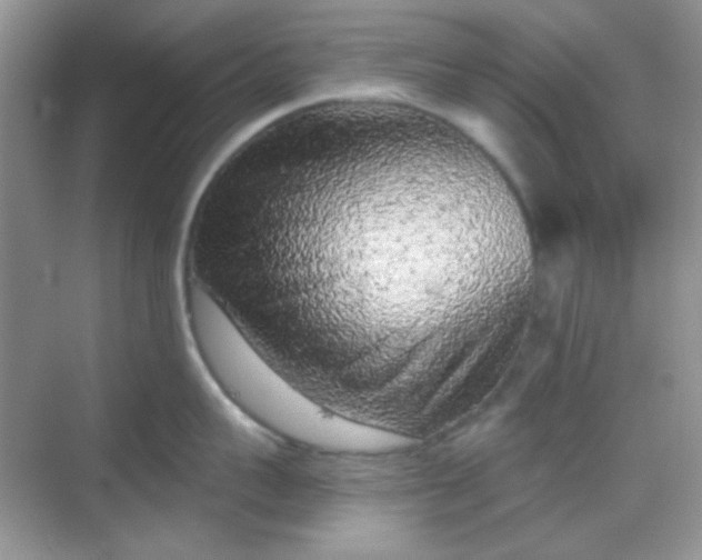 X0000068720959200605051430