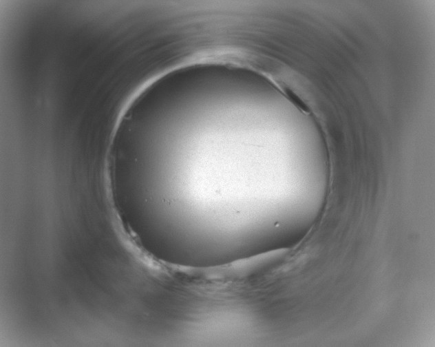 X0000068720960200605051430