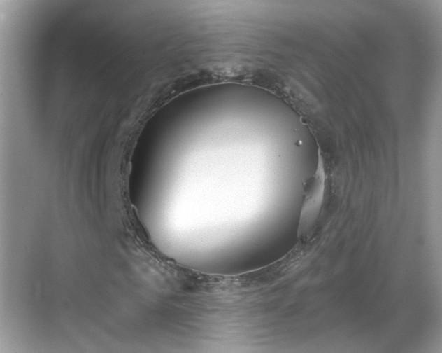 X0000068720961200605051429