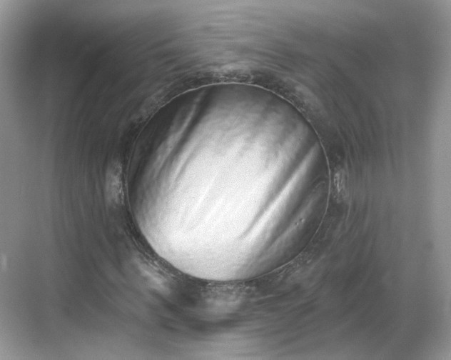 X0000068720963200605051429