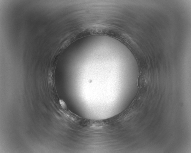 X0000068720964200605051429