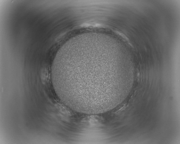 X0000068720966200605051429