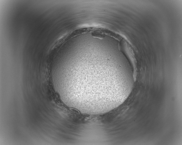 X0000068720967200605051429