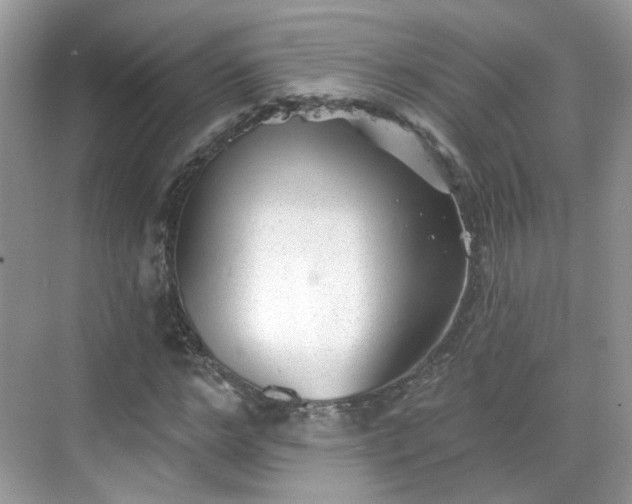 X0000068720968200605051429