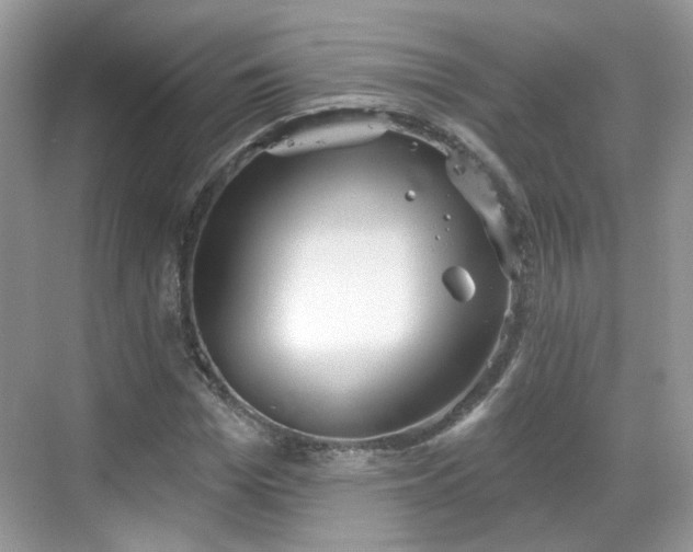 X0000068720969200605051429