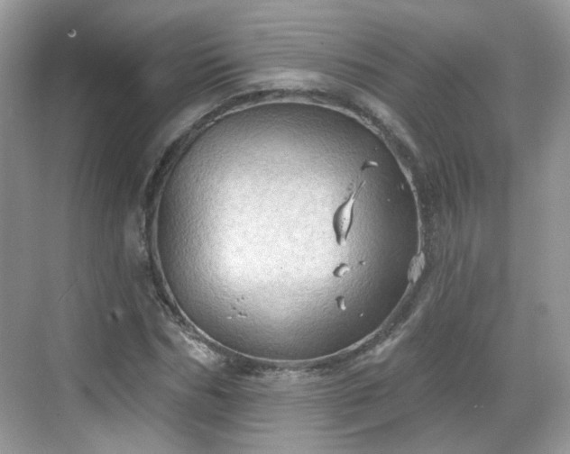 X0000068720970200605051429